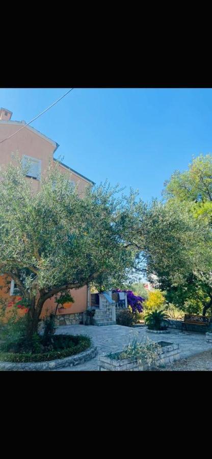 Apartman Nauplie Zadar Exterior foto